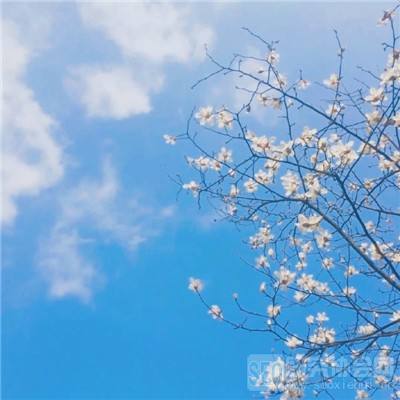 疯神来了变态版下载